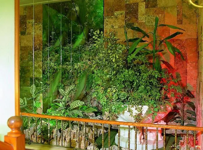 Continental מלון